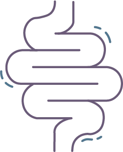 Gut digestion icon