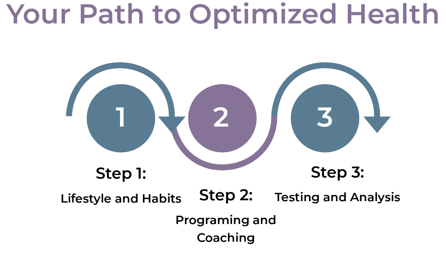 Philosophy diagram path optimized health